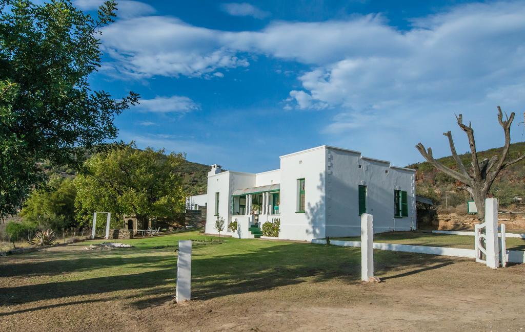Villa Matjiesvlei Guestfarm Calitzdorp Exterior foto