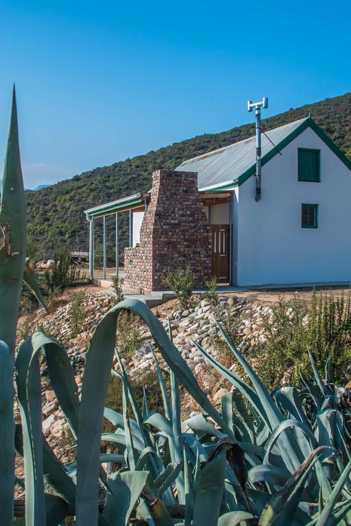 Villa Matjiesvlei Guestfarm Calitzdorp Exterior foto