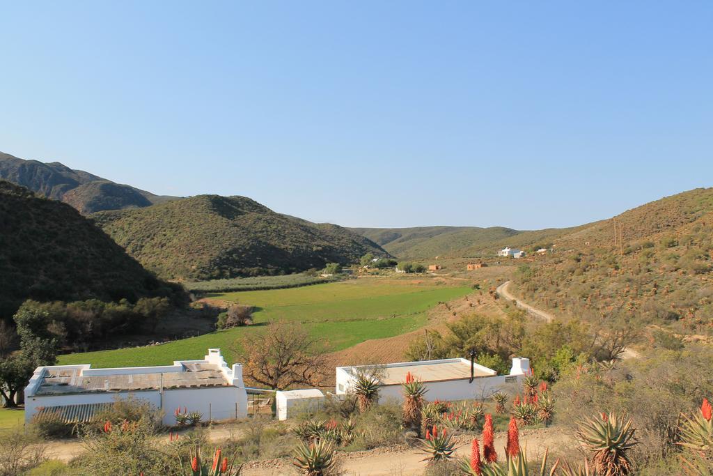 Villa Matjiesvlei Guestfarm Calitzdorp Exterior foto